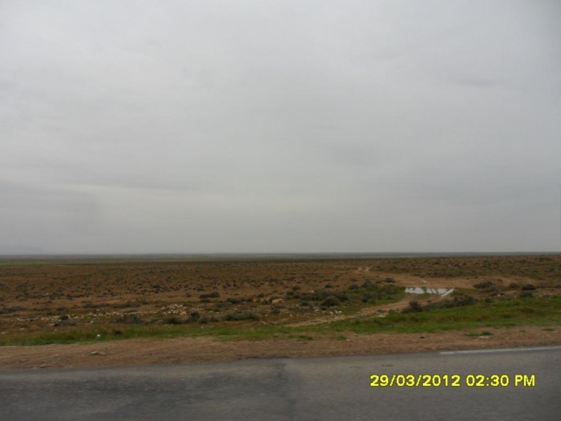 Alger-Biskra-Djelfa-Alger, 1200 Kms en 3 jours Sam_3817