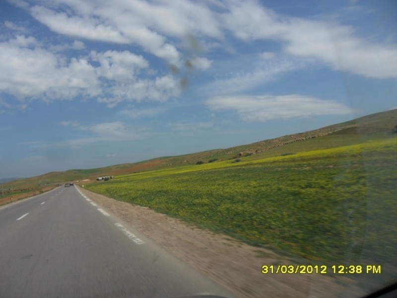 Alger-Biskra-Djelfa-Alger, 1200 Kms en 3 jours - Page 2 Sam_4117