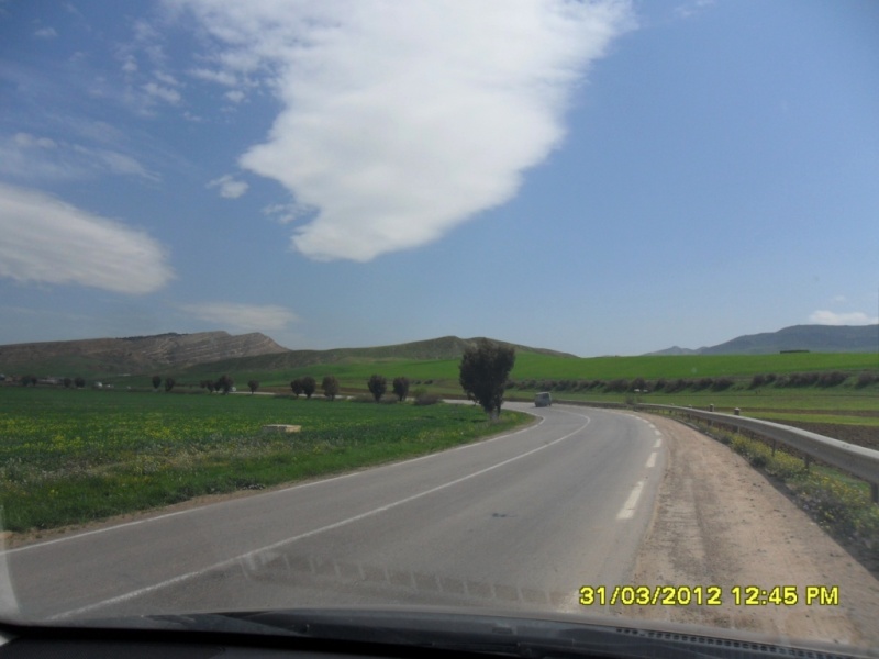 Alger-Biskra-Djelfa-Alger, 1200 Kms en 3 jours - Page 2 Sam_4119