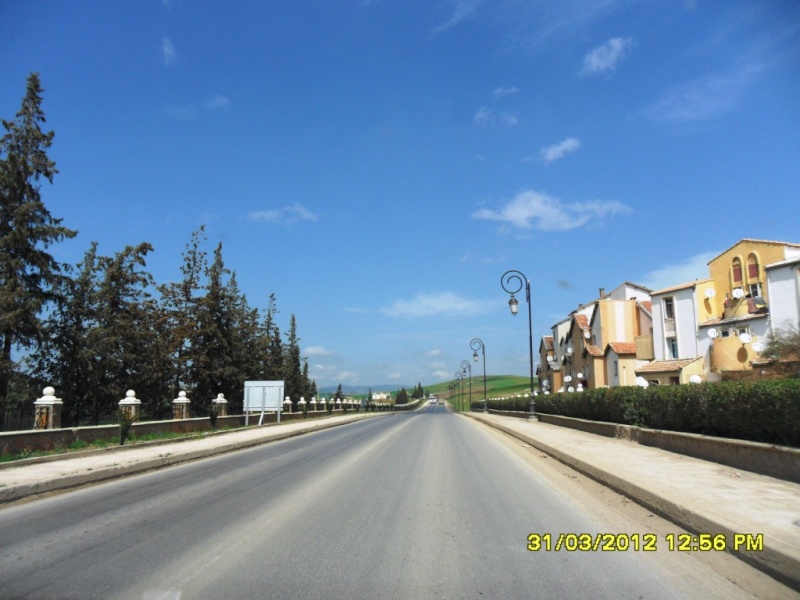 Alger-Biskra-Djelfa-Alger, 1200 Kms en 3 jours - Page 2 Sam_4123