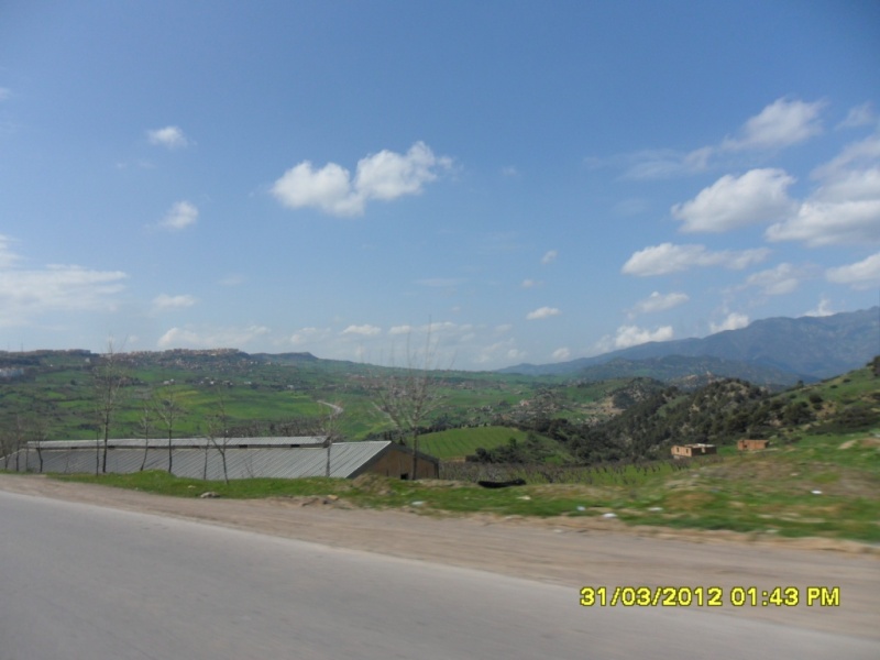Alger-Biskra-Djelfa-Alger, 1200 Kms en 3 jours - Page 2 Sam_4129