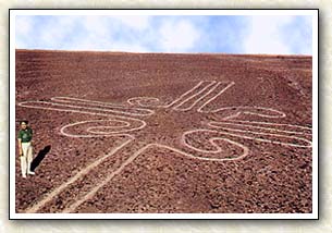 Le mystère des traçés de Nasca Carte318