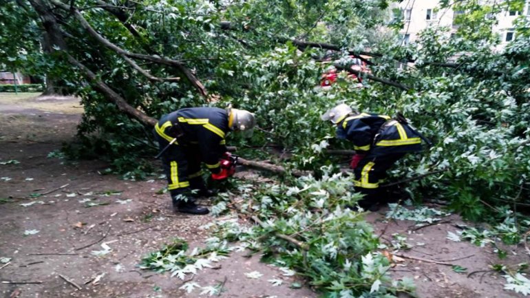 В Вольногорске огромная ветка упала на детскую площадку 5f0ec011