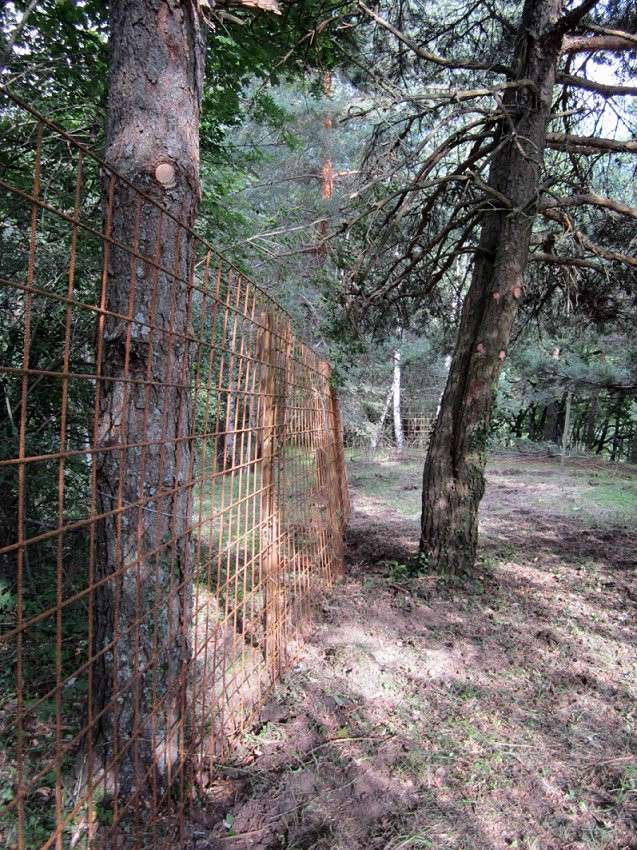 le parc d'ébats des loups.... un sacré chantier ! 2012_071