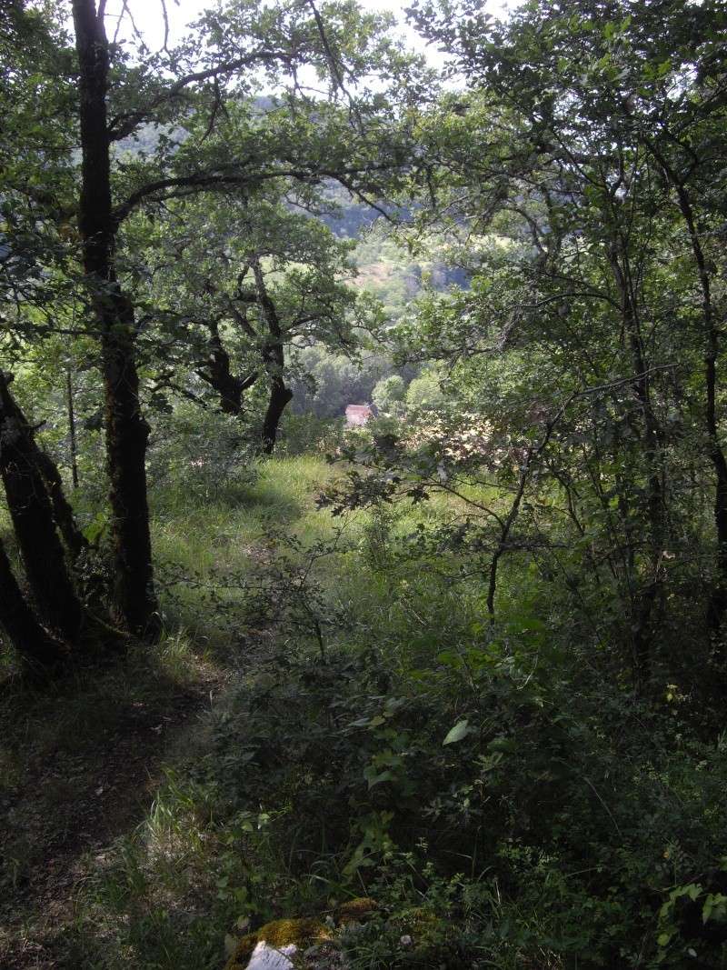 Sur les traces des rescapés d'Alesia 02110