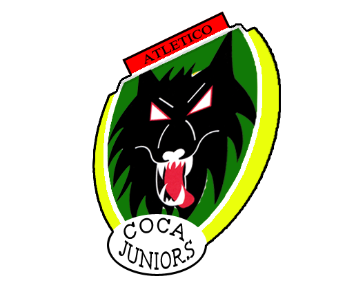 creacion de equipo liga master  Coca_j11