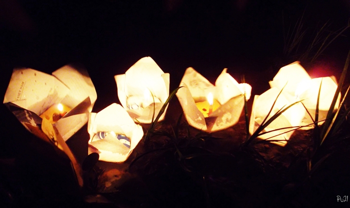 [06/05/2012] Chùa Hoa Nghiêm thả đèn hoa đăng hồ Bảo Lâm – Ước nguyện vào tương lai Den_ho10