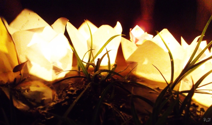 [06/05/2012] Chùa Hoa Nghiêm thả đèn hoa đăng hồ Bảo Lâm – Ước nguyện vào tương lai Den_ho11