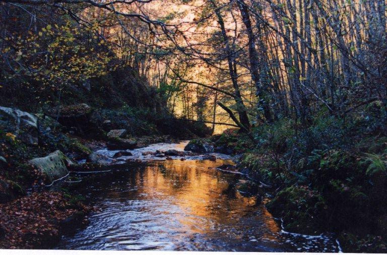 L'automne en Auvergne. Img00510