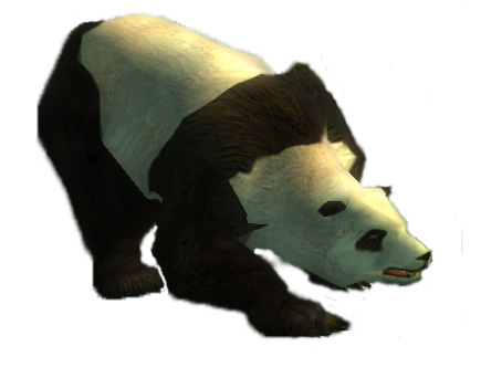Nouveau mini pet PAnda Panda10