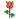 Une rose à dix  - Page 2 Rose1010