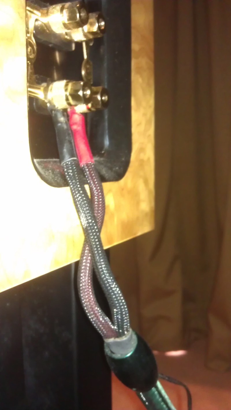 Audioquest Pikes Peak Speaker Cable (used)-sold Audioq10