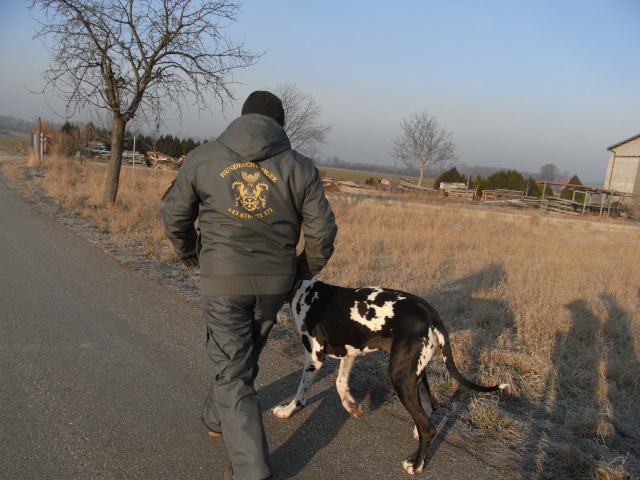 Krone Tierecke Hunde helfen Hunden :-) (Rocky&Sheena) - Seite 4 Rimg0129