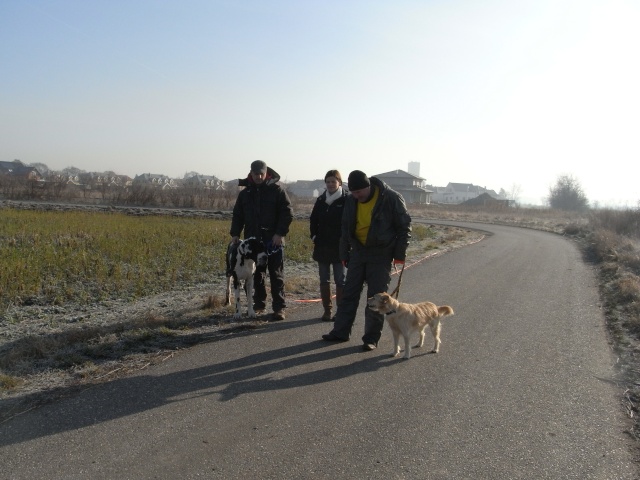 Krone Tierecke Hunde helfen Hunden :-) (Rocky&Sheena) - Seite 4 Rimg0131