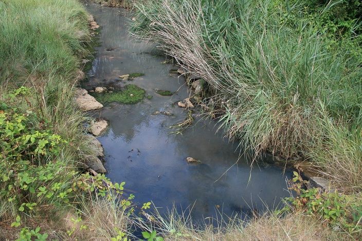 Algues vertes cherchez les pollueurs Img_1410