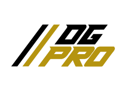 Logo DG PRO Logodg12