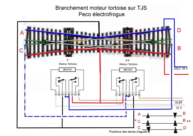 Schéma branchement (TJS) Traversée Jonction Simple Peco SL-E380F Cablag88