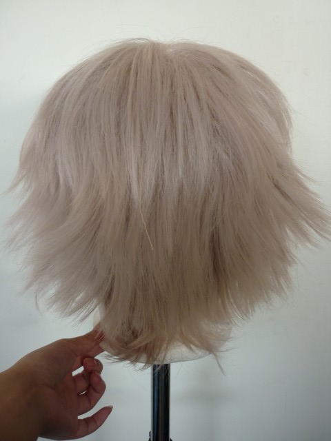 [SELLER] Wigs P1020519