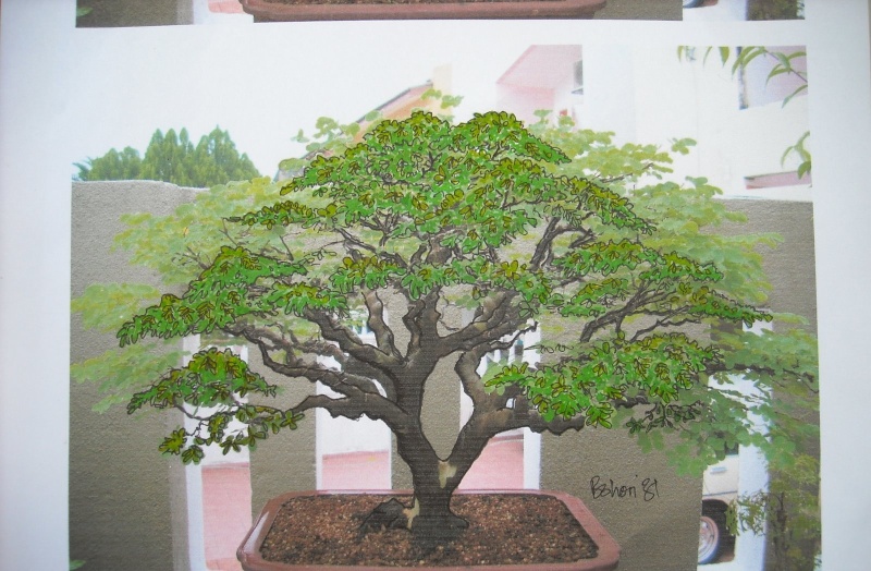 How to design the canopy of this Brazilian Ironwood? Dscn0210