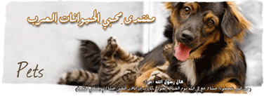 من اي ولاية من الجزائـــــــــــــــــــــــر - صفحة 2 Mounta11