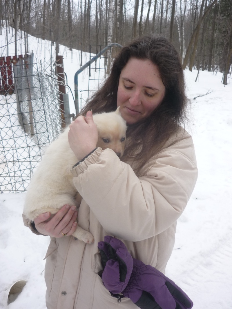 Gallia chez les Cousins du Québec Chiens14