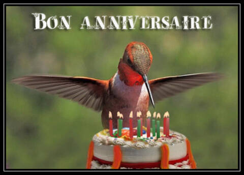 Le Forum Souhaite Un Joyeux Anniversaire A Lucien Le Forum Souhaite Un Joyeux Anniversaire A Lucien