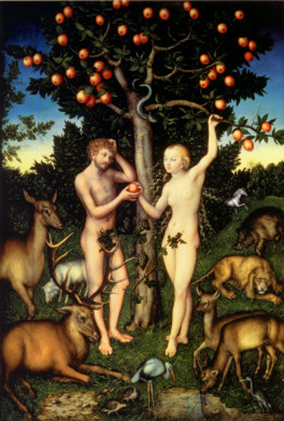 “La mela: il frutto dal volto umano” Adamo-10