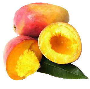 Mango: Proprietà e Benefici Mango10