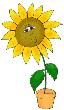 Salut les amis !!!! - Page 3 0e13c810