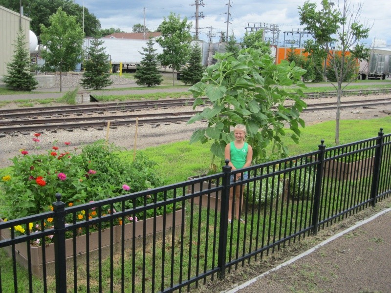 Come look at our new school SFG gardens :) Img_0110