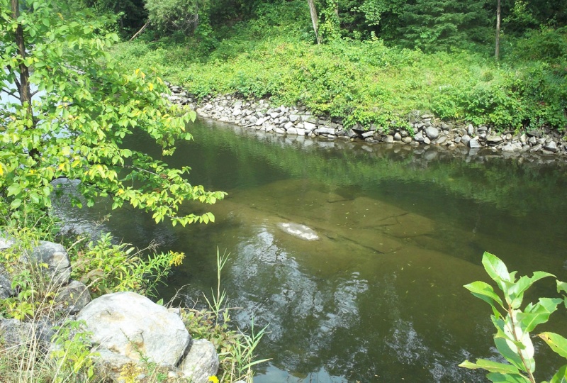 Plongée en apnée sur la rivière Petite-Nation – 20 août 2011 114