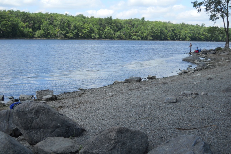 Rapport de plongée - Rivières des Milles-Isles/Laval - 4 août 2011 211