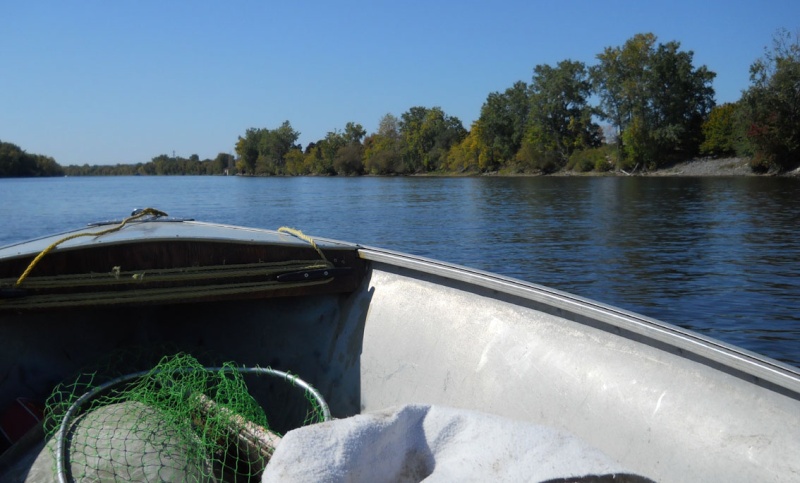 Rapport de plongée - Rivières Gatineau et des Outaouais - 25 septembre 2011 217