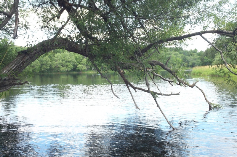 Plongée en apnée sur la rivière Petite-Nation – 24 juillet 2011 2810