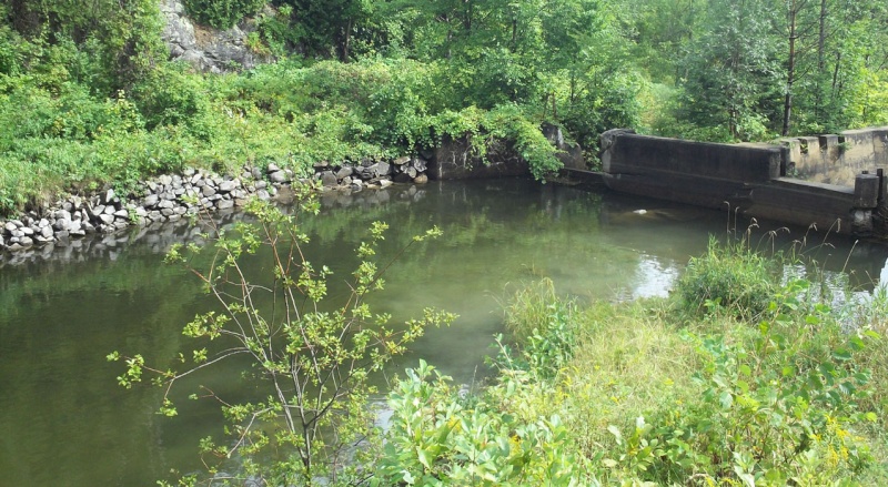 Plongée en apnée sur la rivière Petite-Nation – 20 août 2011 313