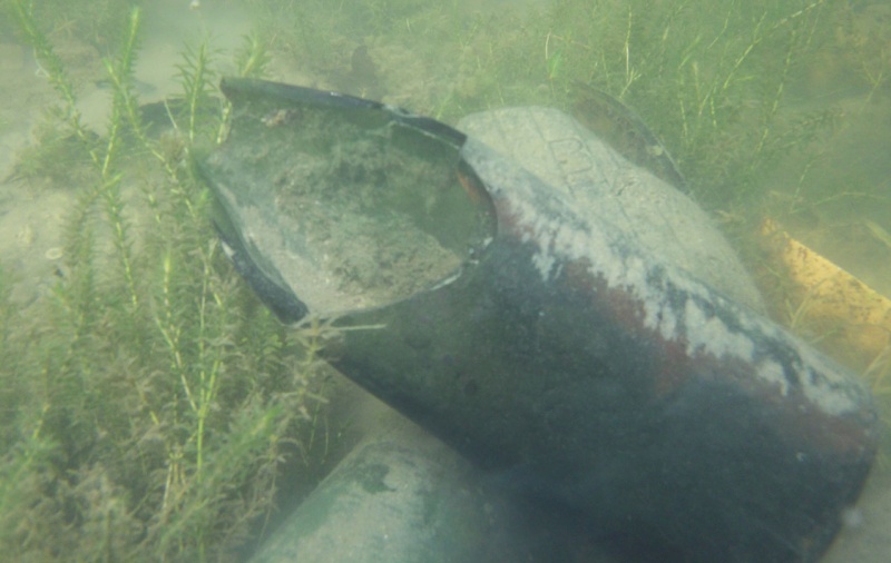 Plongée en apnée sur la rivière Petite-Nation – 20 août 2011 413