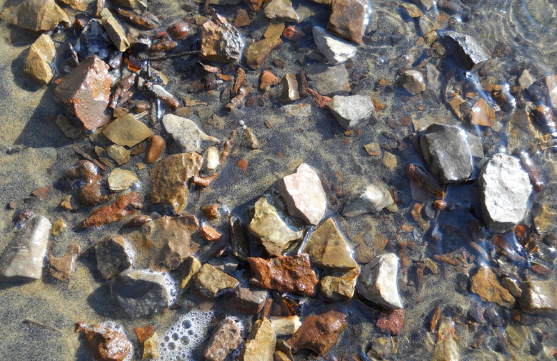 Rapport de "prospection" - Île Kettle (Rivière des Outaouais), Québec - 7 novembre 2011 416