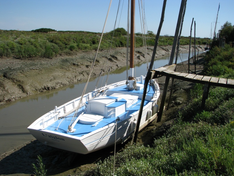 LA FLECHE de MORNAC sur SEUDRE Vieux_25