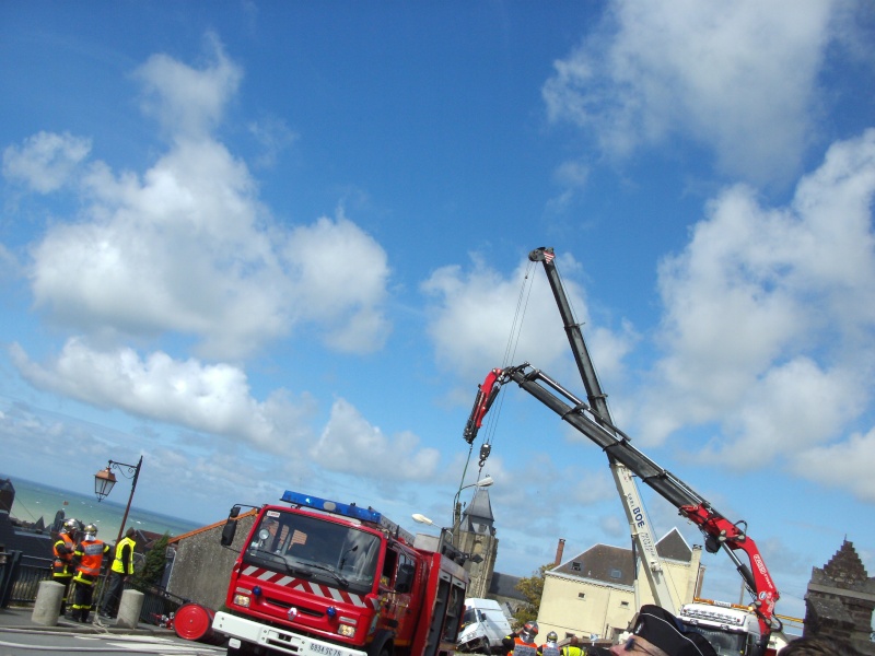 Les grues de SOMMALEV (France) Pict0414