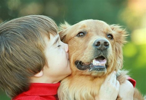 vivre avec un chien, protegerait les bébés des inféctions 12070910