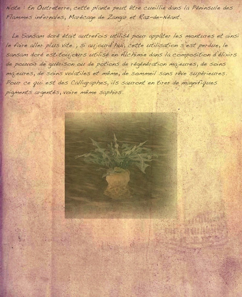 [BIO] Etude des plantes simples des Royaumes de l'Est et de Kalimdor, par Anthenna Chamtombre Etude_55