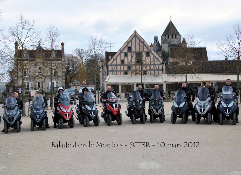 CR Sortie dans le Montois Dsc_0548