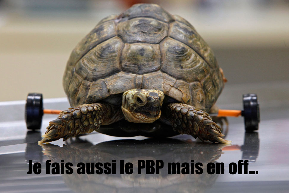 Suivi GPS live des participants PBP2011 - Page 10 Tortue10