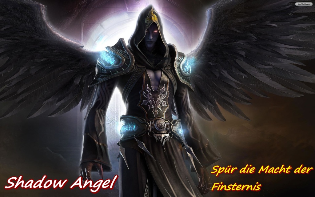 Shadow Angel 12995614