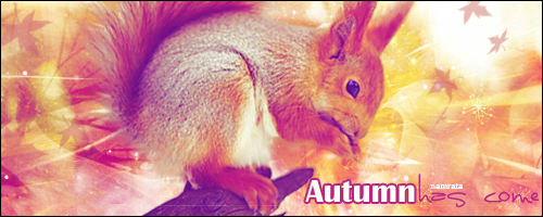 Namrata - Photoshop 7.0 - Cours - Page 2 Autumn10