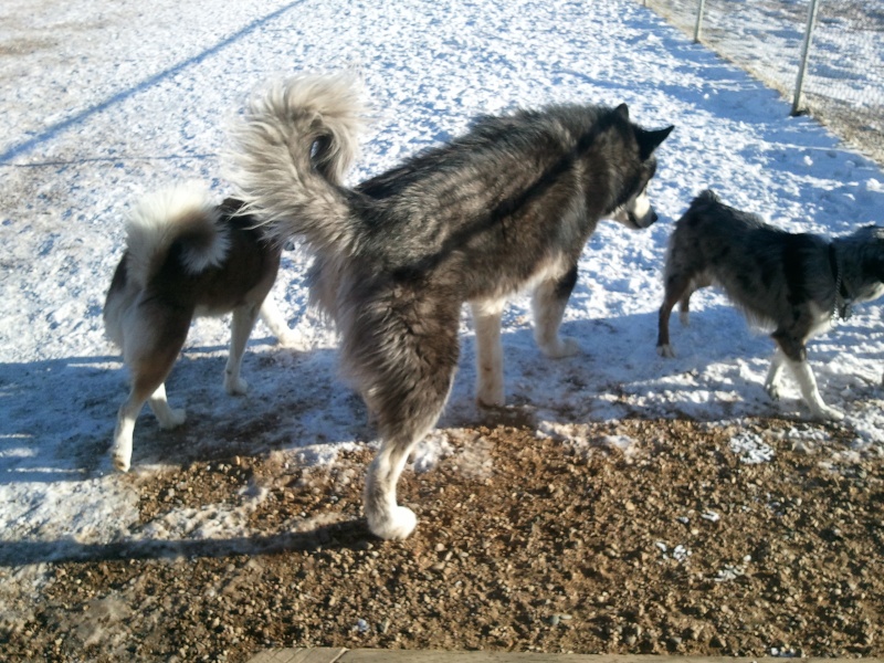 Colorado - Oklahoma Meetup - Estes Park 2011 2011-122