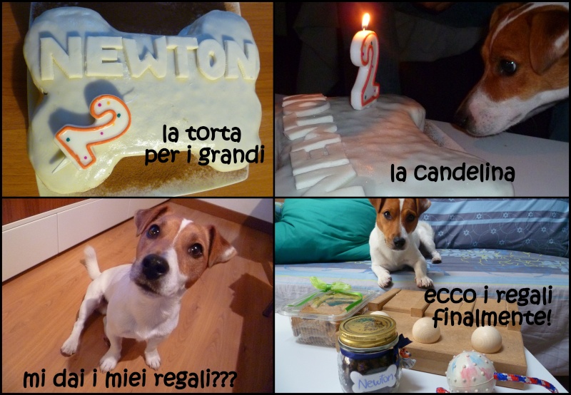 Compleanno Newton :D Comple10
