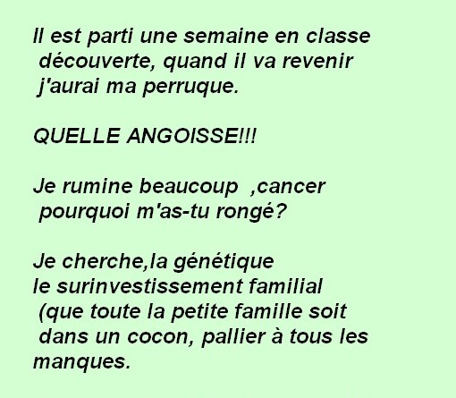 CANCER = MAL A DIT ....et si j'essayais...année 2011   3333te10