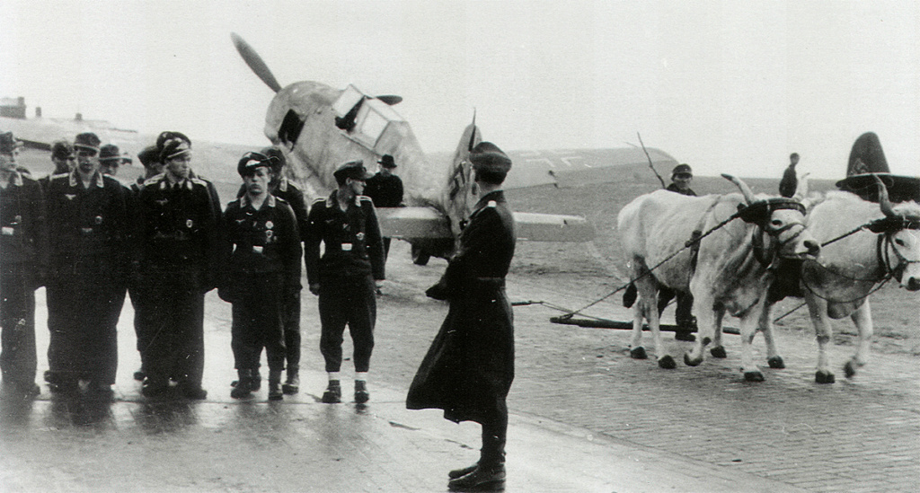 [ MPM ]  Focke Wulf 190 S-5.....FINI Focke-14