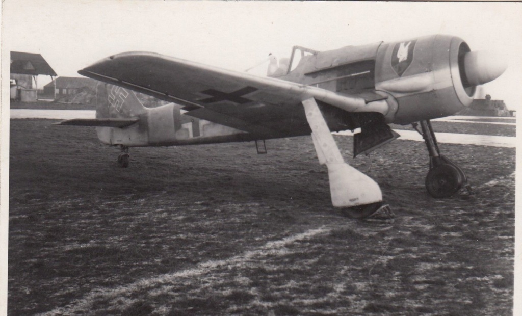 [Eduard] Focke-Wulf 190 A-8 R8  "FINI"  - Page 3 Fw190_12